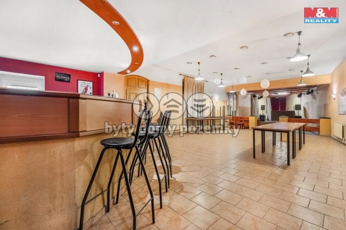 Prodej, Hotel, penzion, Bílina