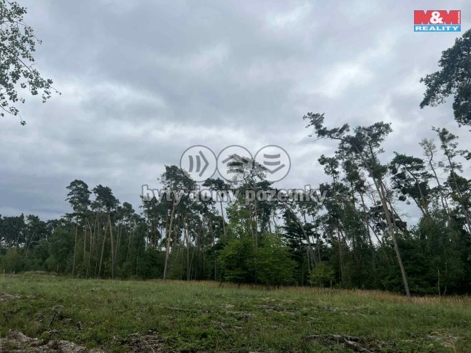 Prodej, Les, Tři Dvory