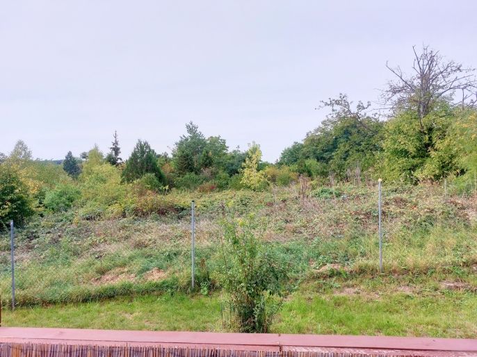 Prodej, Mobilheim, Přezletice
