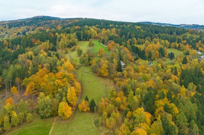 Prodej, Louka, Tanvald