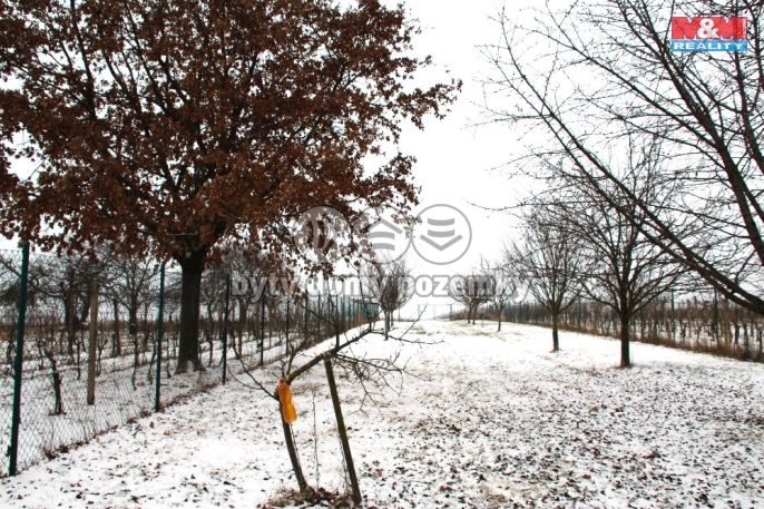 Prodej, Ovocný sad, Starý Poddvorov