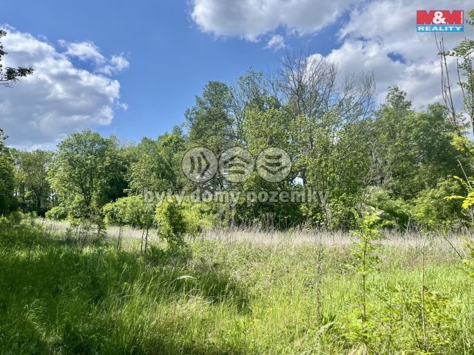 Prodej, Pole, Měcholupy