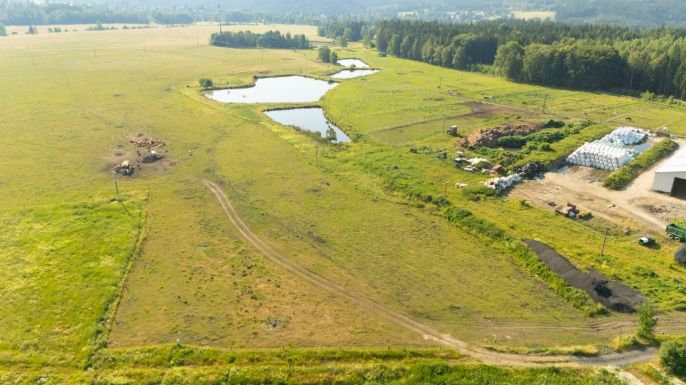 Prodej, Pozemek k bydlení, Kolová