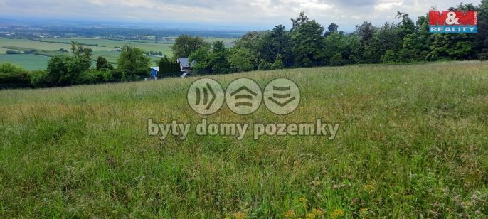 Prodej, Pole, Olomouc