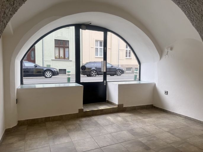 Pronájem, Obchod a služby, Slaný