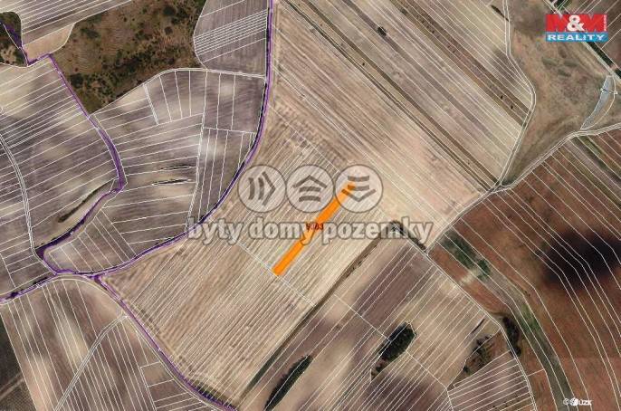 Prodej, Pole, Šardice