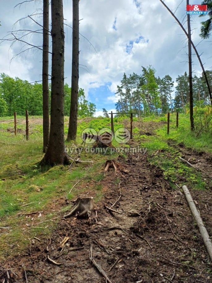 Prodej, Les, Hrazany