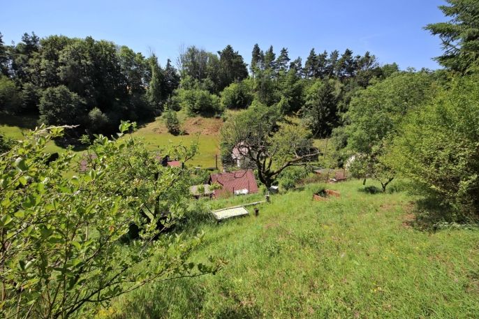 Pronájem, Chata, Jenišovice