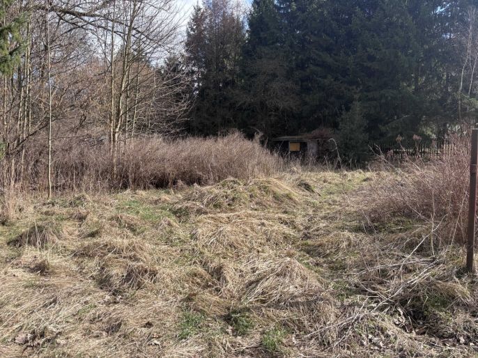 Prodej, Zahrada, Chřibská