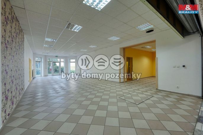 Pronájem, Obchod a služby, Třemošná