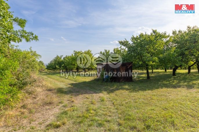 Prodej, Ovocný sad, Židlochovice