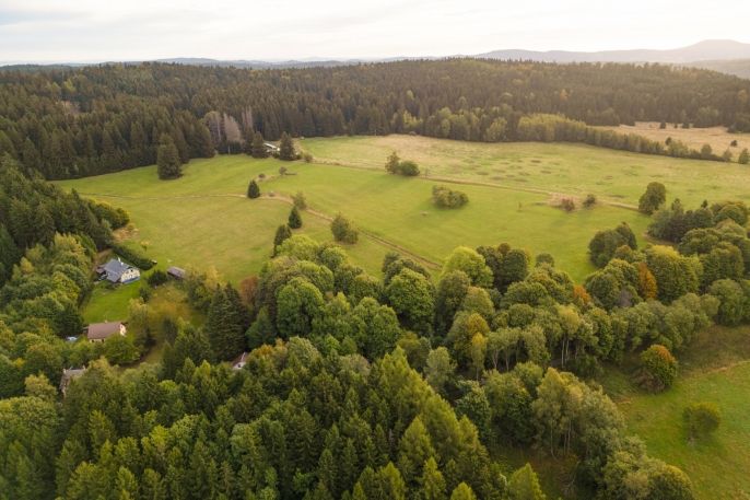 Prodej, Pozemek k bydlení, Lesná