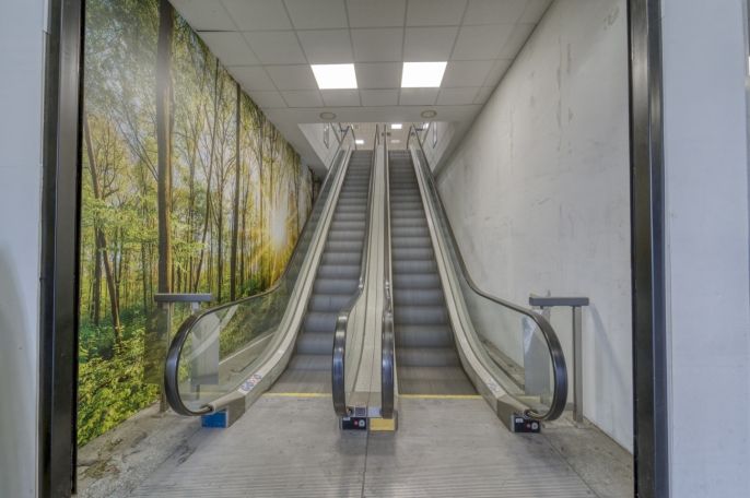 Pronájem, Obchod a služby, Plzeň