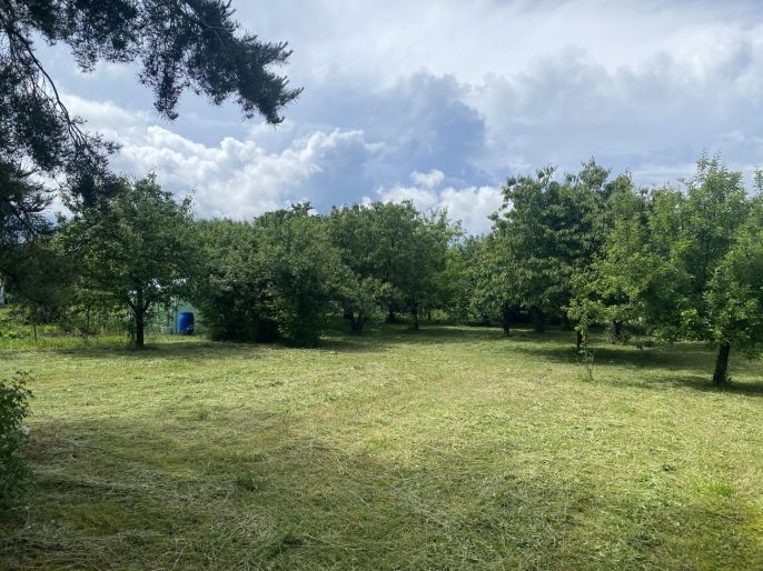 Prodej, Zahrada, Dobruška