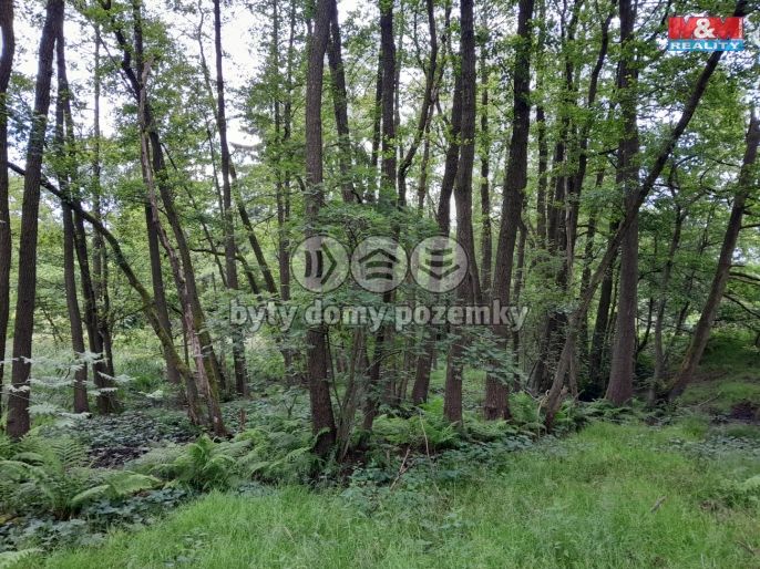 Prodej, Louka, Oselce