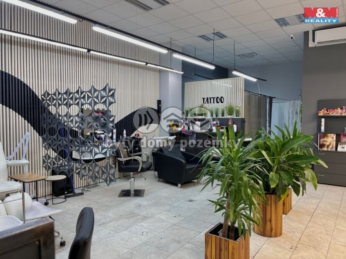 Pronájem, Obchod a služby, Most