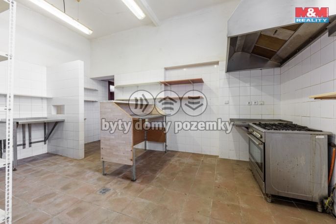 Prodej, Hotel, penzion, Mlečice