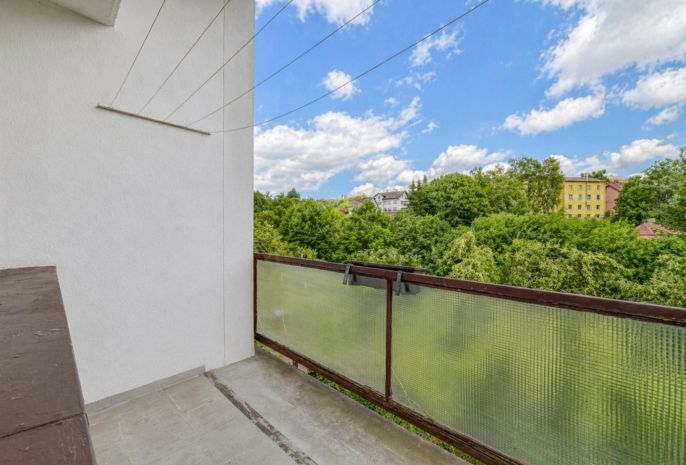 Pronájem, Byt 1+1, Luby