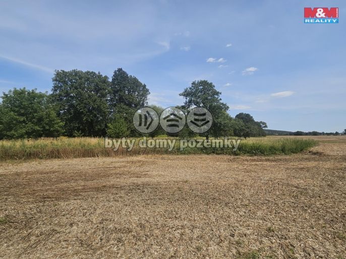 Prodej, Louka, Krnov