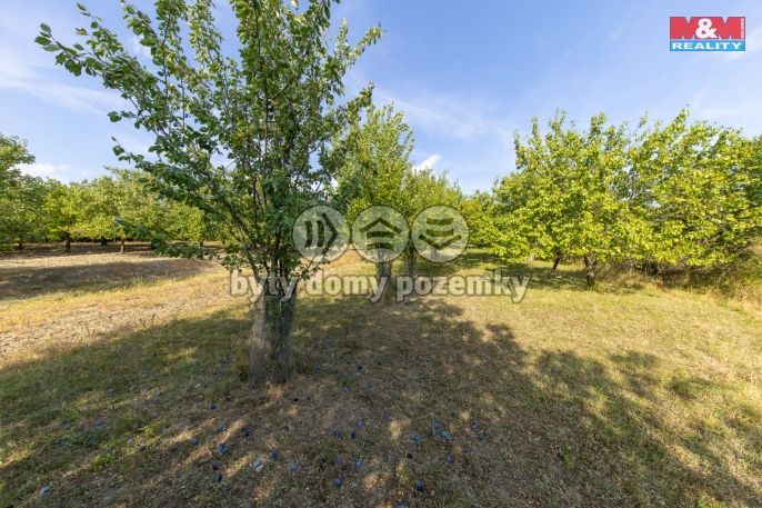 Prodej, Ovocný sad, Židlochovice