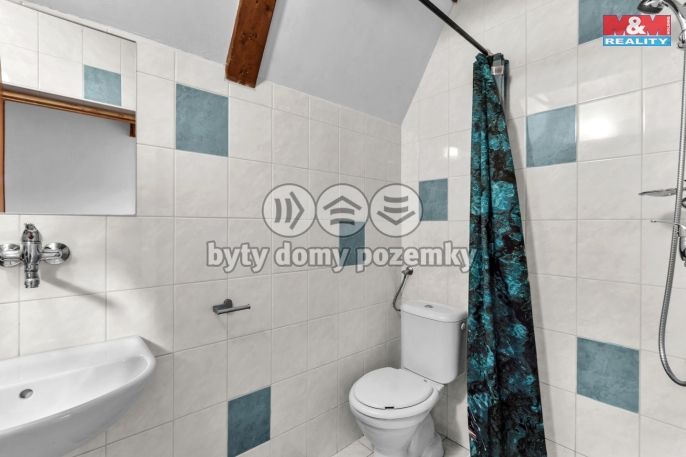 Prodej, Hotel, penzion, Pastviny