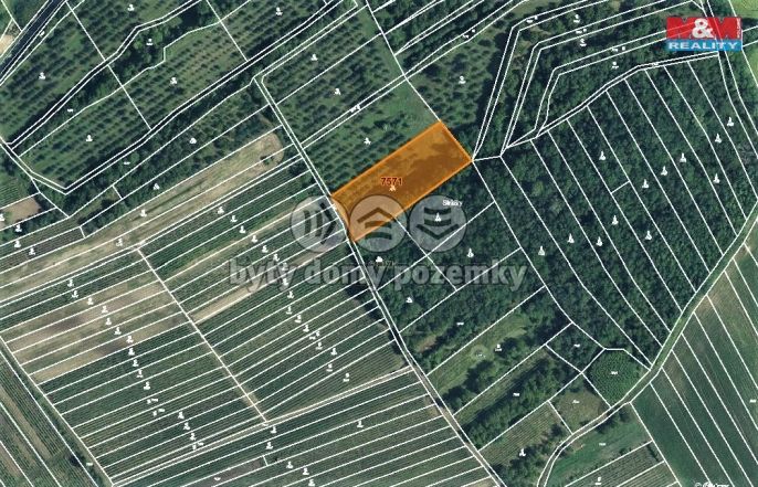 Prodej, Ovocný sad, Kobylí