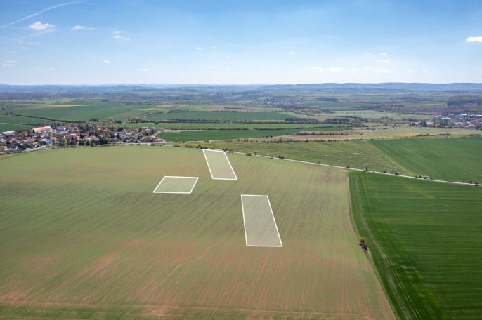 Prodej, Pole, Dobříč