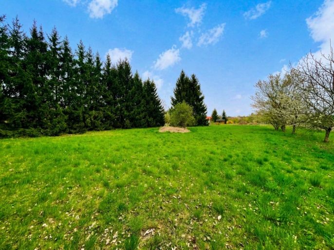 Prodej, Zahrada, Bělušice