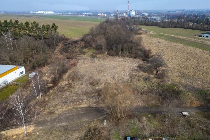 Pronájem, Zahrada, Opava