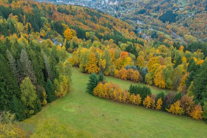 Prodej, Louka, Tanvald