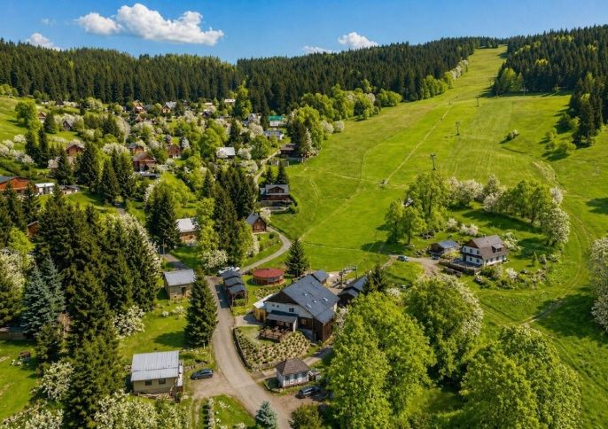 Prodej, Hotel, penzion, Čenkovice