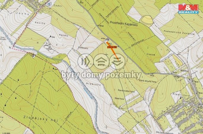 Prodej, Vinice, Dolní Bojanovice