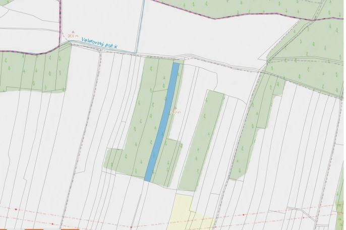 Prodej, Les, Veletov