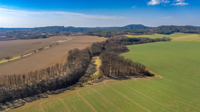 Prodej, Louka, Tachov