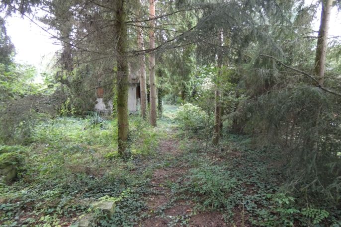 Prodej, Zahrada, Kolín