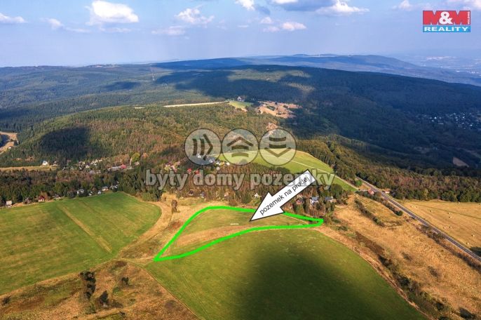 Prodej, Pole, Moldava