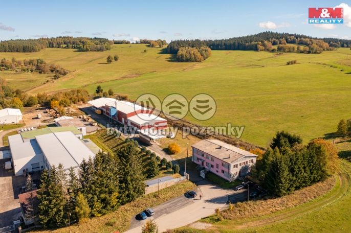 Prodej, Kancelářský prostor, Horní Planá