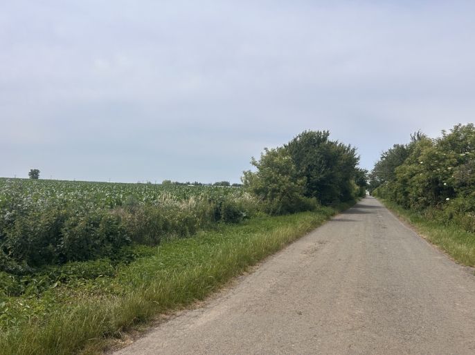 Prodej, Pole, Prostějov
