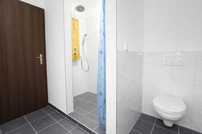 Pronájem, Rodinný dům, Ostrava