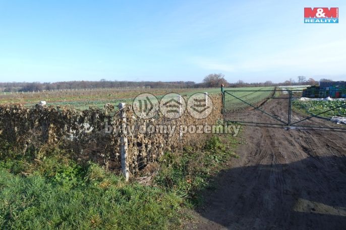 Prodej, Ovocný sad, Nové Dvory