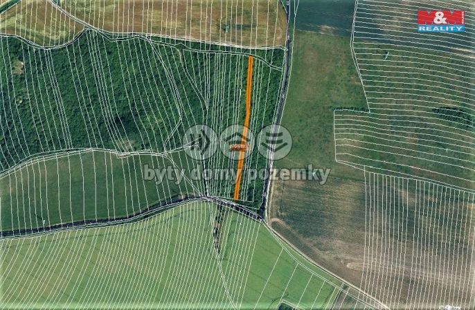 Prodej, Ovocný sad, Syrovín