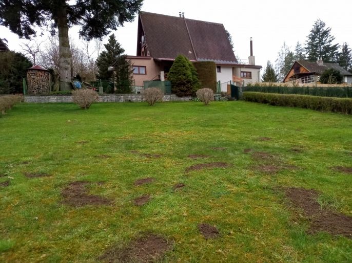 Pronájem, Chata, Český Šternberk