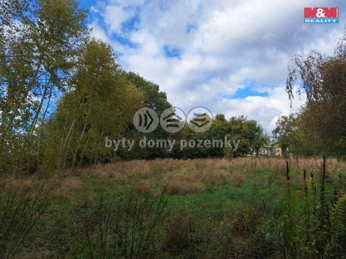 Prodej, Zemědělská usedlost, Dolní Pohleď