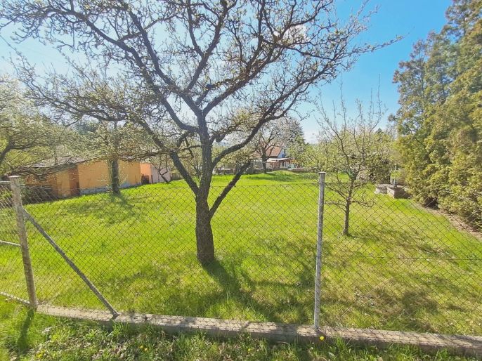 Pronájem, Zahrada, Přeštice