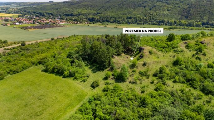 Prodej, Les, Libochovice