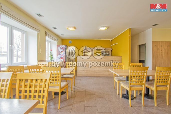 Prodej, Hotel, penzion, Slezské Rudoltice