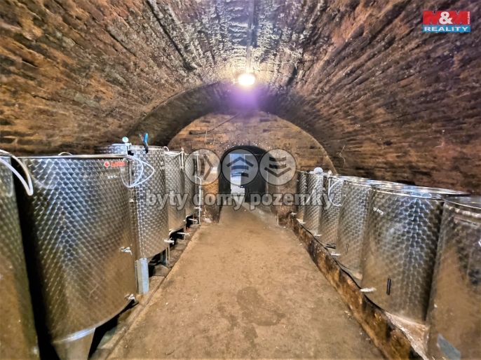 Prodej, Vinný sklep, Perná