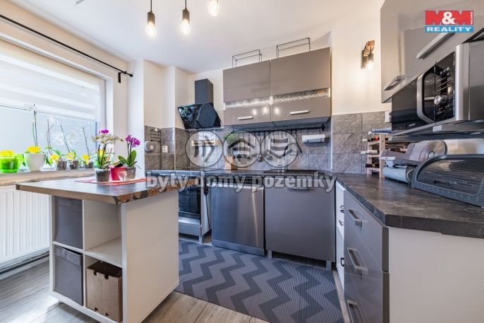 Prodej, Rodinný dům, Želízy