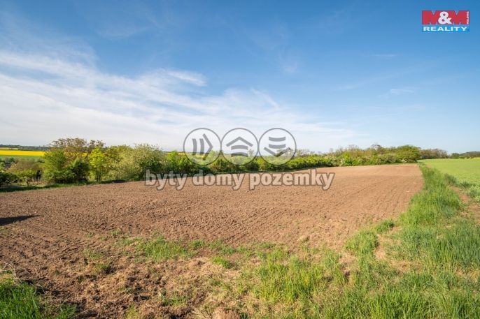 Prodej, Rodinný dům, Beřovice