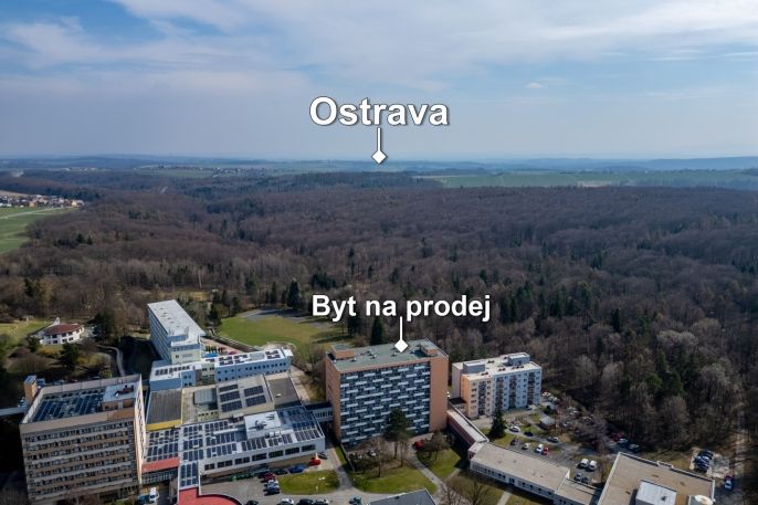 Prodej, Byt 1+kk, Hrabyně